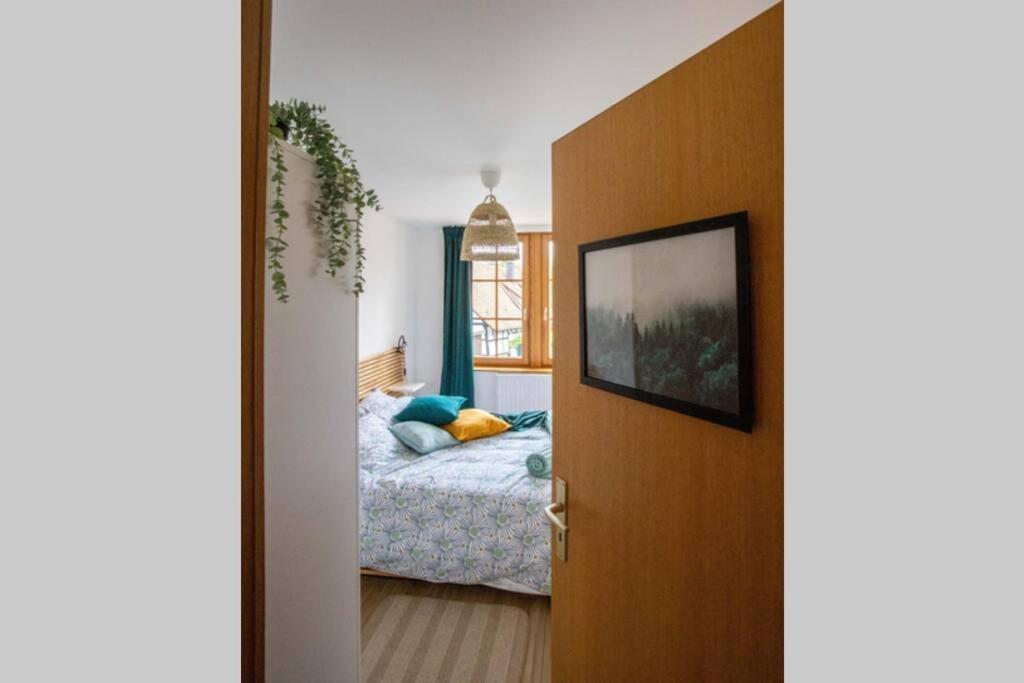 Charming Apartment Basel Border - 3 Bedrooms Hegenheim Kültér fotó