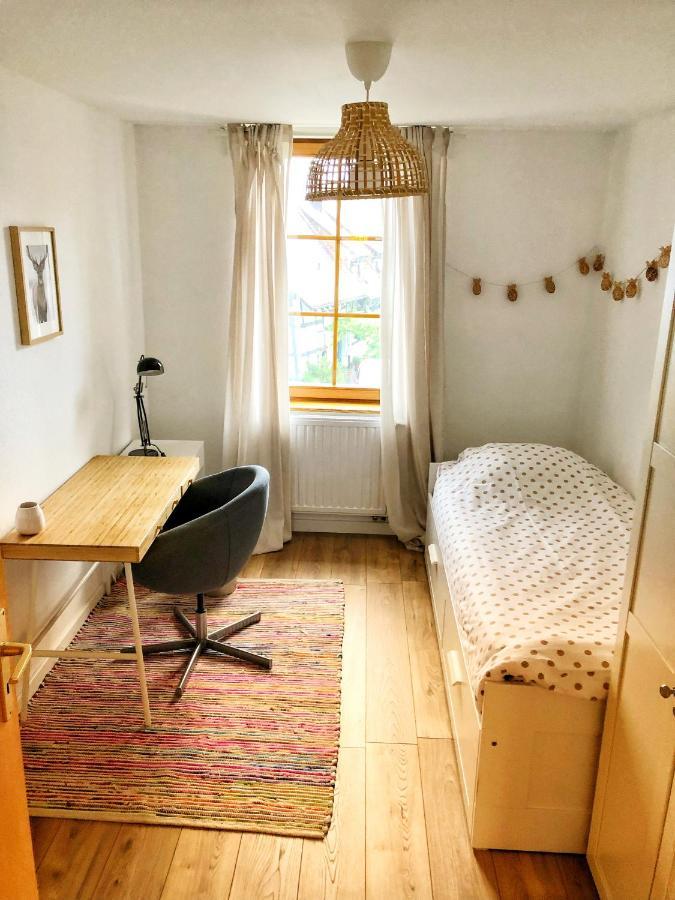 Charming Apartment Basel Border - 3 Bedrooms Hegenheim Kültér fotó