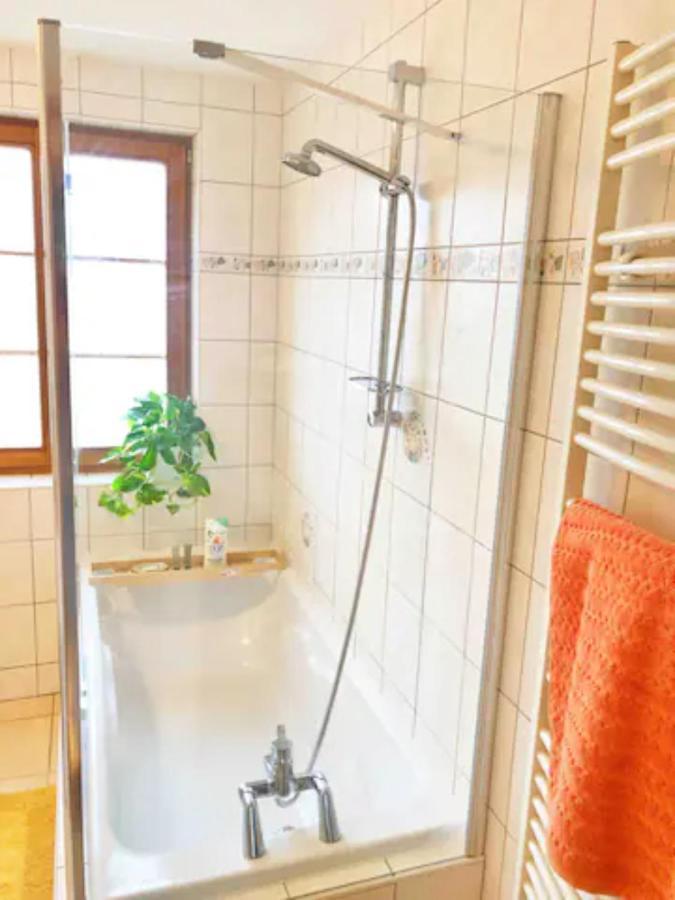 Charming Apartment Basel Border - 3 Bedrooms Hegenheim Kültér fotó