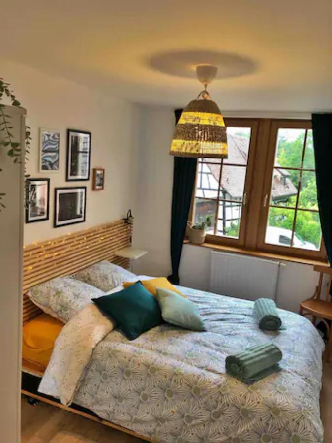Charming Apartment Basel Border - 3 Bedrooms Hegenheim Kültér fotó